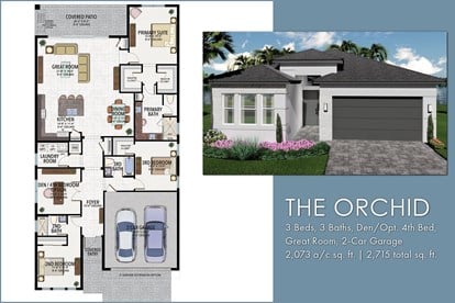 10062026 Orchid LP Image
