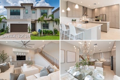 Capella Move In Ready Home   APEX