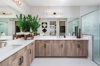 Newport Master Bathroom