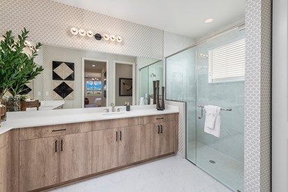 Newport Master Bathroom