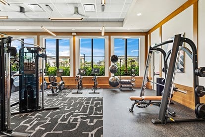 LOE gym
