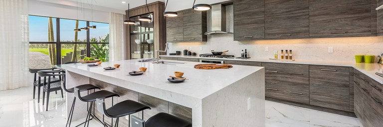 lotus kitchen pano