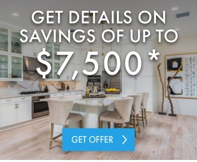 LO Special Offer Popup