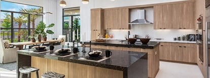 Luxury kitchen