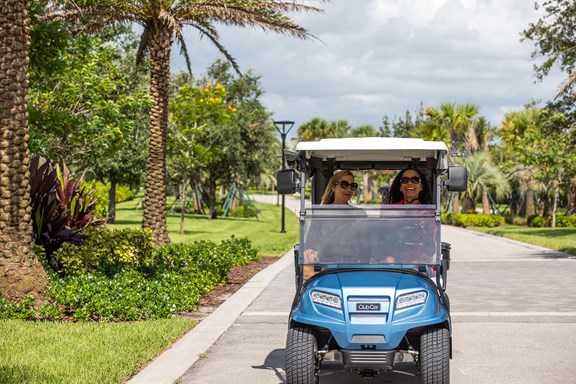 Paseo Golf Cart