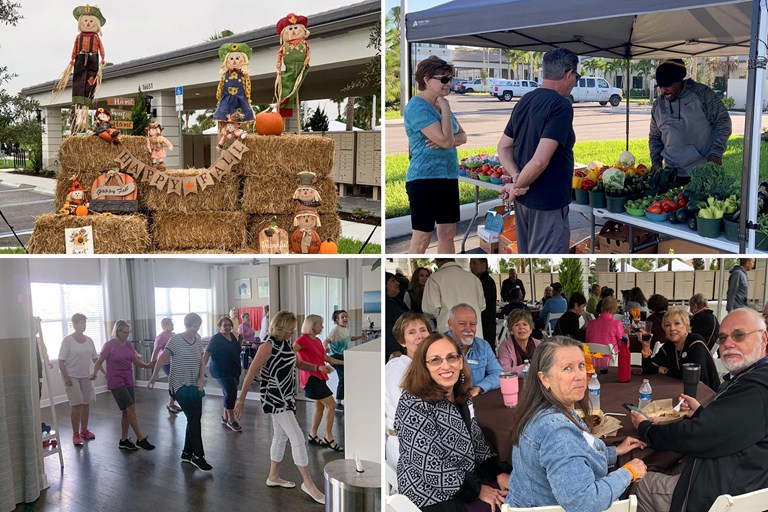 vbs 11 2019