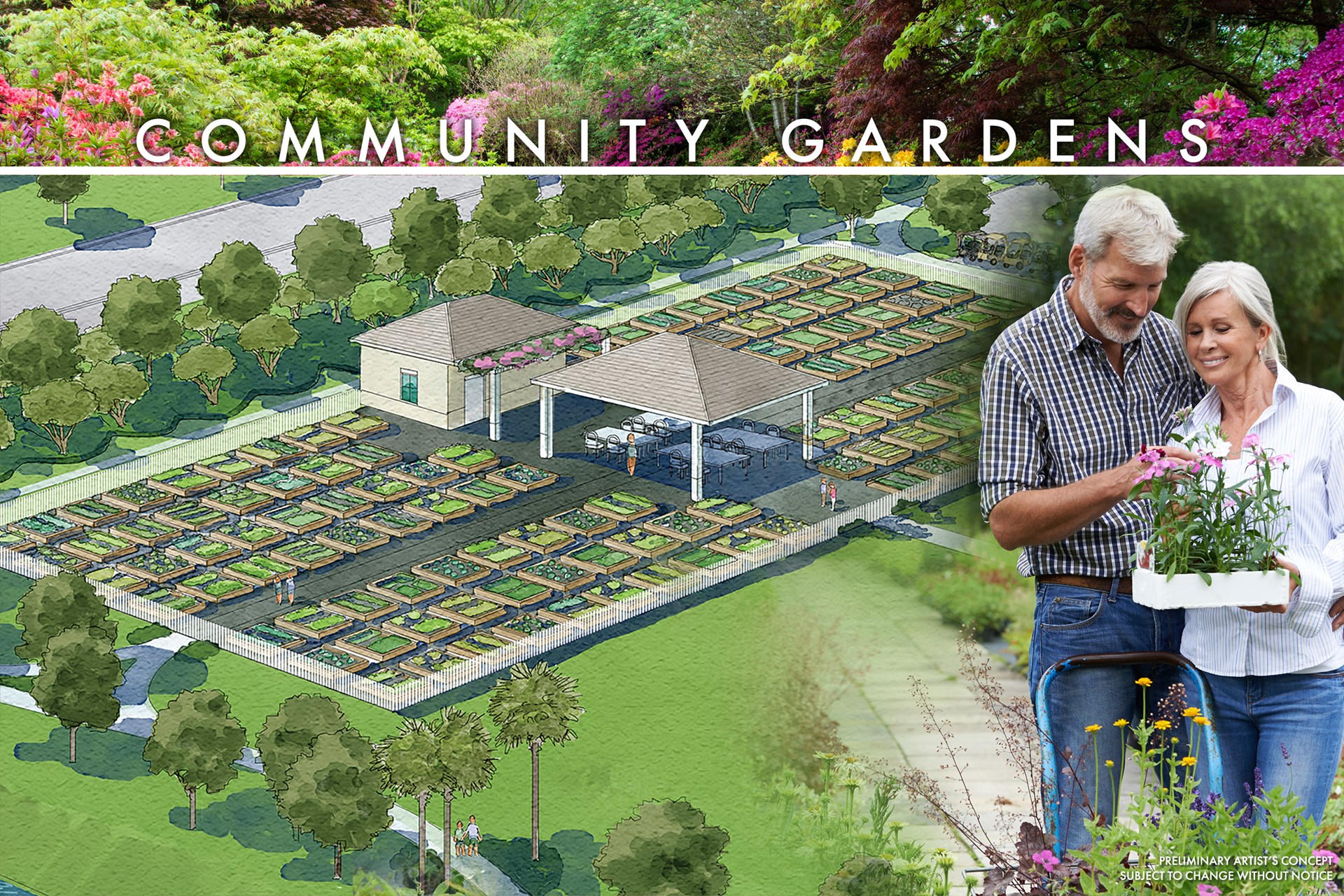 gardens