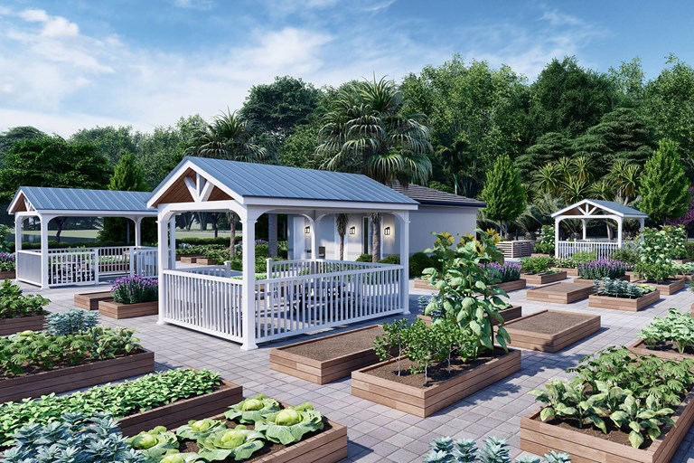 COMMUNITY GARDENS