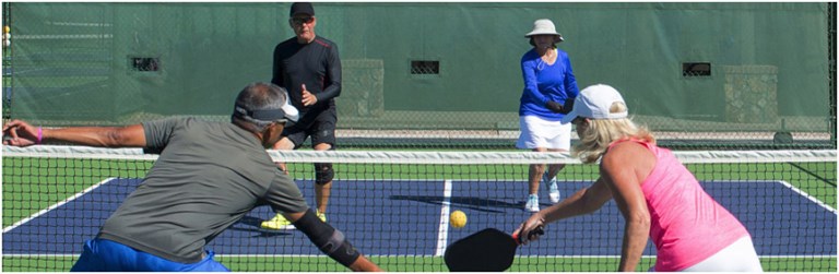 RL Pickleball 3x1 small