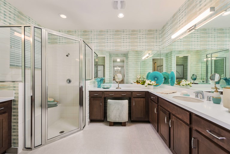 Valencia Grove Standard Features Bathroom