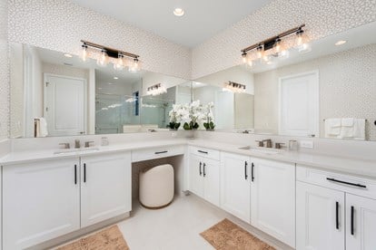 Andros Primary Bathroom