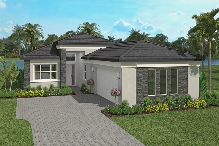 Coral Elevation