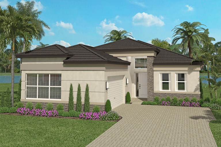 Sanddollar Elevation
