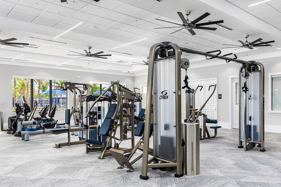 PT gym mid