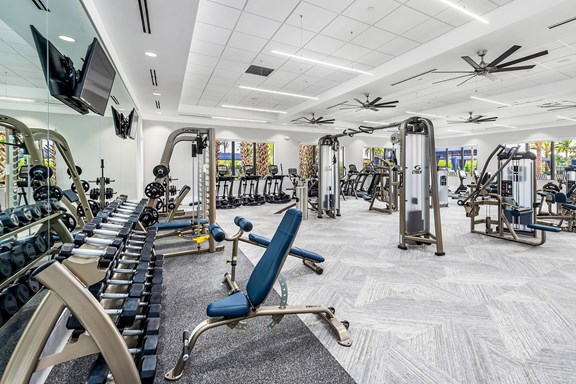 PT gym side