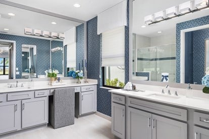 Abaco II Primary Bath