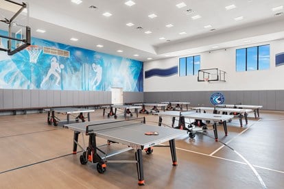 INDOOR SPORTS 