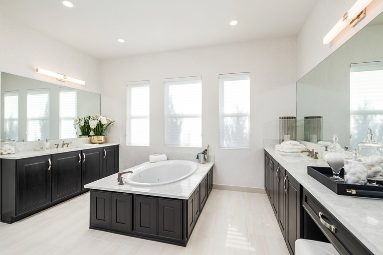 Amethyst Master Bathroom