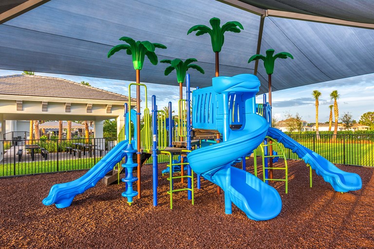 DD Playground