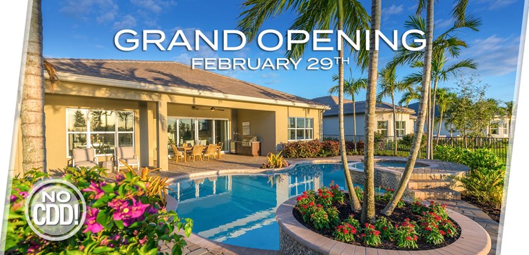 Wesley Chapel Homes For Sale Winding Ridge In Wesley Chapel